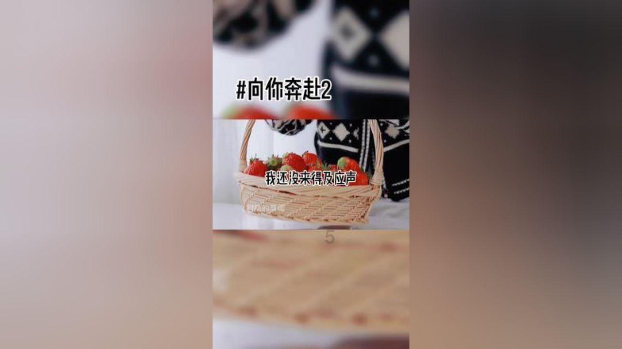 大型输送链条分类有哪些-鑫昌汇机械