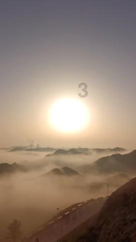 水瓶树生长在水里还是土里?-专业有趣的红迪网平台