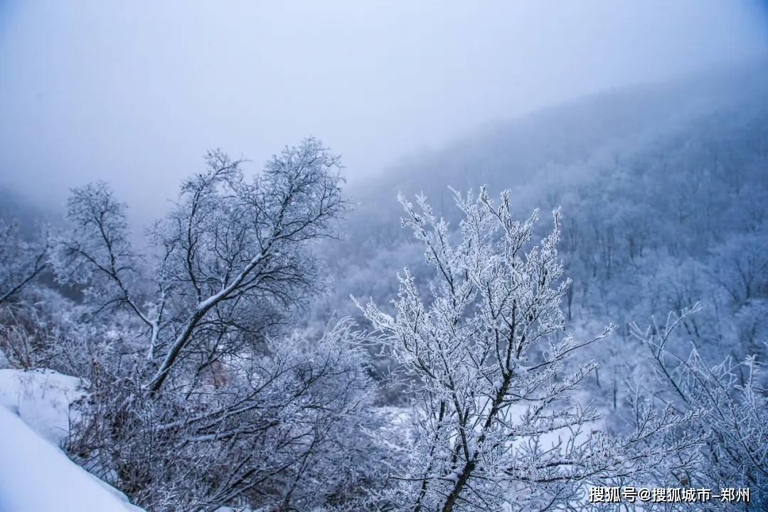 沪江开心词场