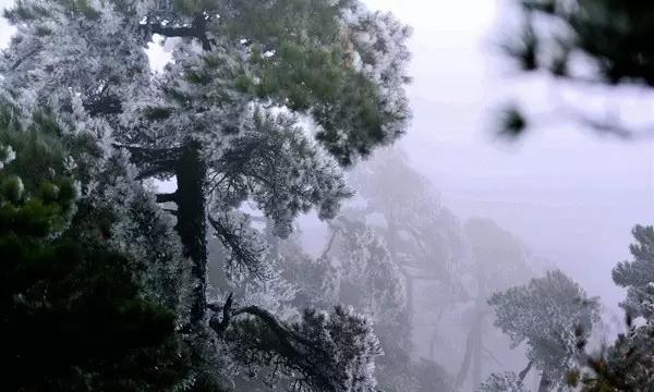 暗黑精灵幽影重重