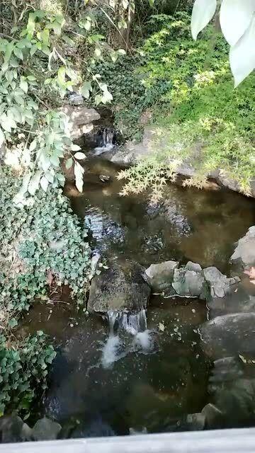 五彩泡泡