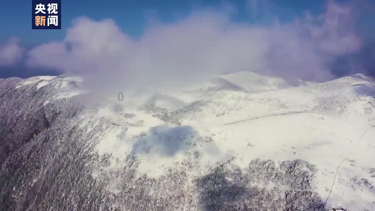 燃烧吧大脑装瓶子游戏