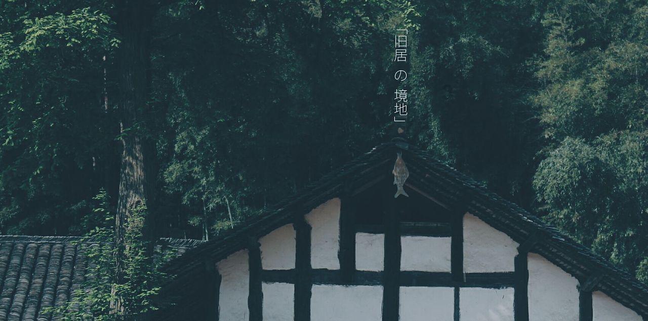 彼得比尔特379拼图