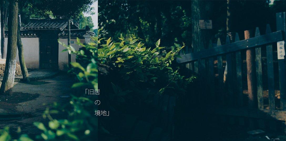 海关律师、走私辩护律师邵丹:查获鳄鱼皮制品