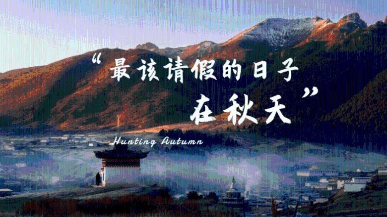 拯救枯树