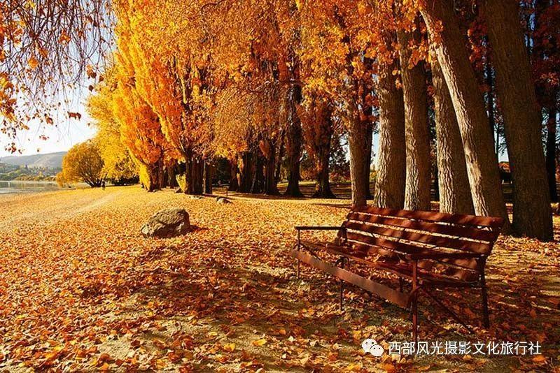 杀人案多久结案游戏画面