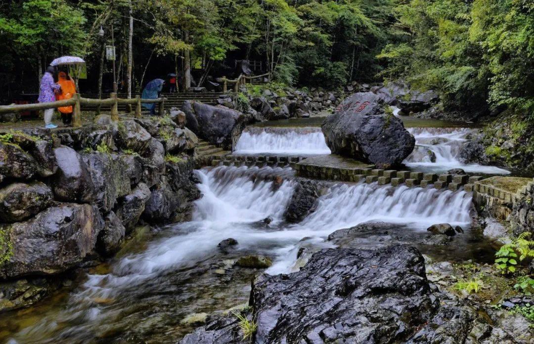 河南三农民赤手空拳,自带干粮,徒步千里擒悍匪
