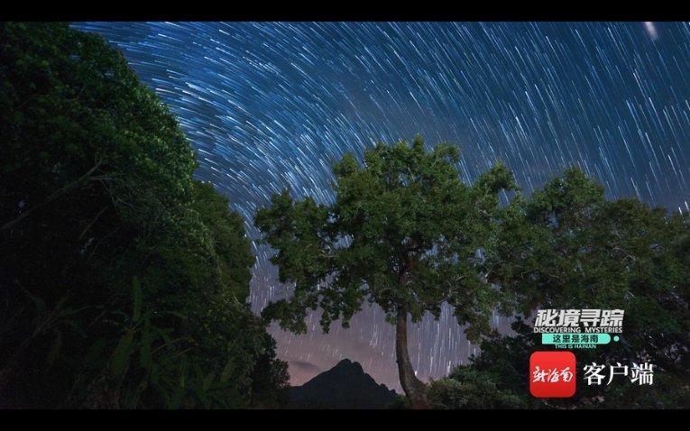 去年四季度主动权益基金股票仓位回升，茅台再度蝉联第一重仓股