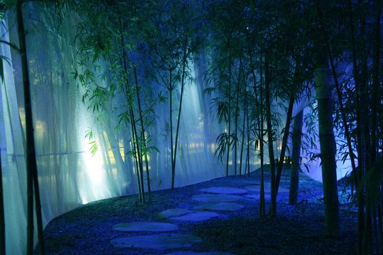 虫虫助手下载