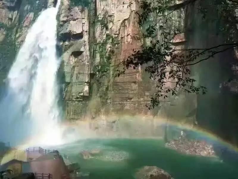 狐狸的旅程