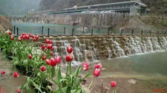 中国太原煤炭交易中心启动数字化转型规划项目
