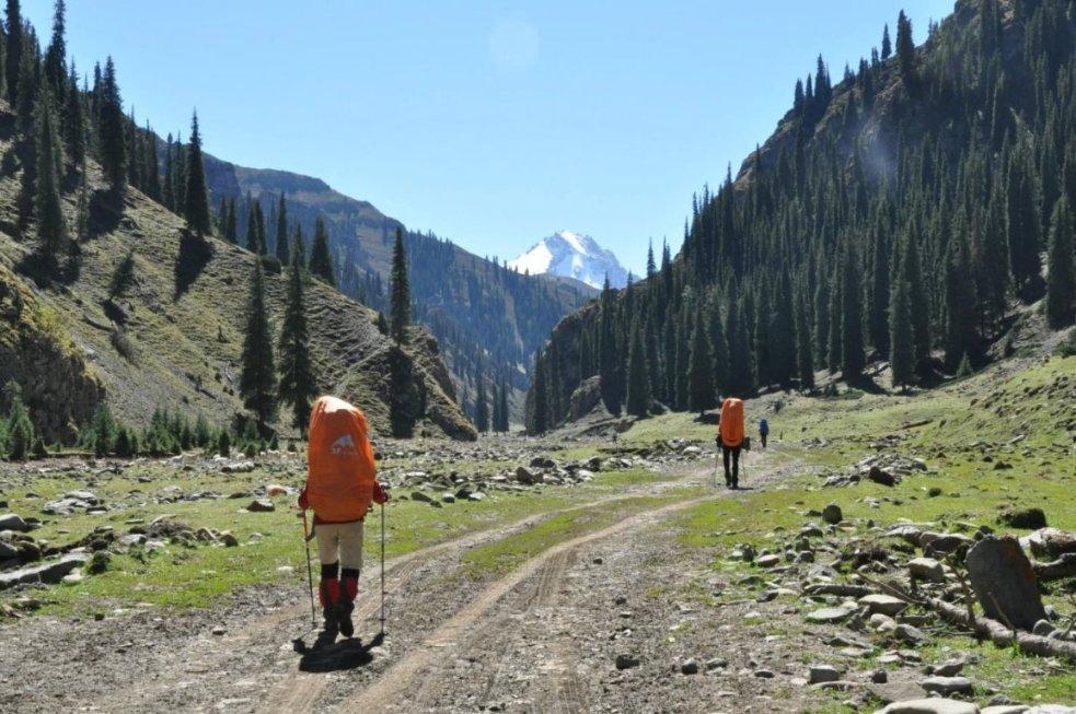 探索悦诗风吟的火山泥面膜好用吗?,解决你的疑惑