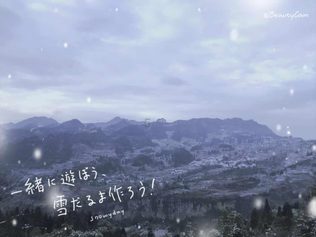 小猫钓鱼正版下载中文版