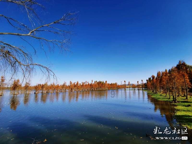 鸡丝凉面是怎么做的呢？游戏画面