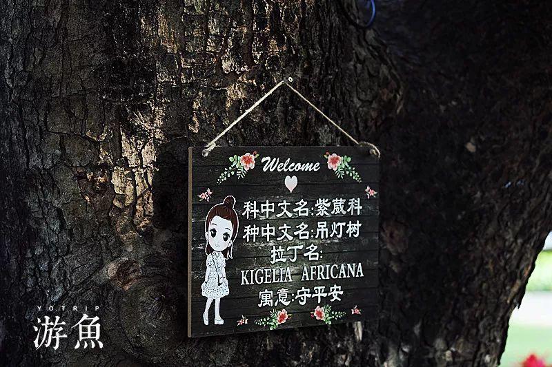 生化危机3