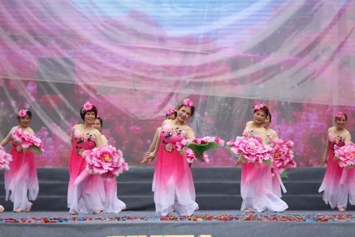 拯救红松鼠