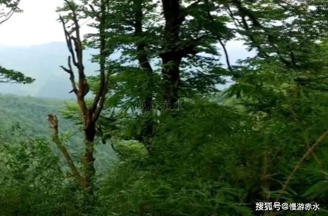 社区公益培训系统功能说明