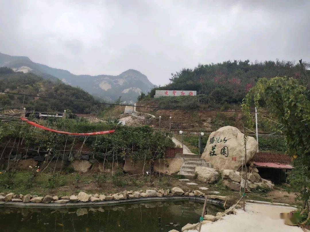 炒的中国美食有什么-机智问答,智能解答疑惑