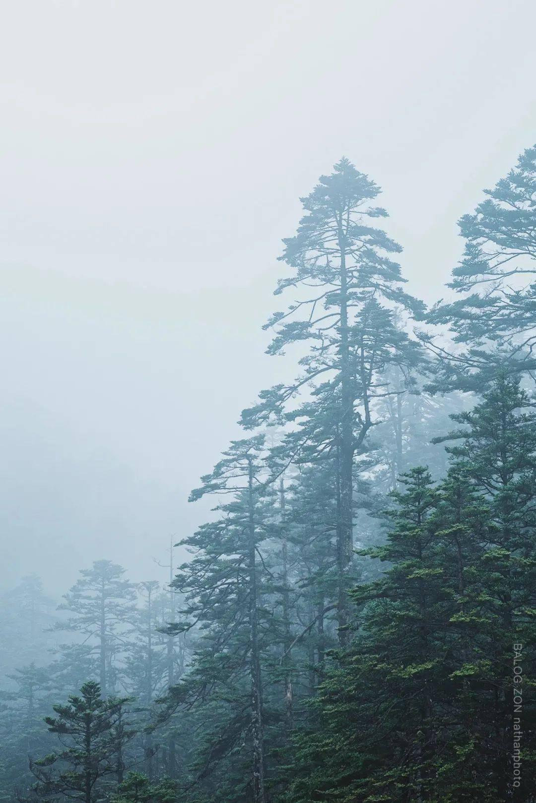 逃离老旧温泉社