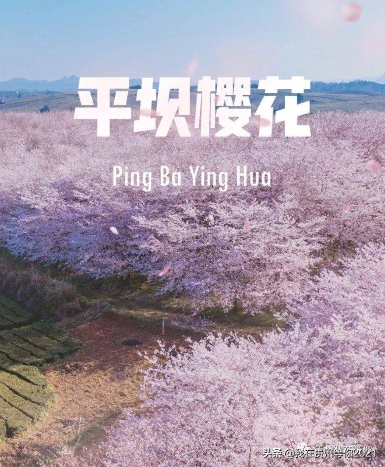 美图秀秀下载2023最新版