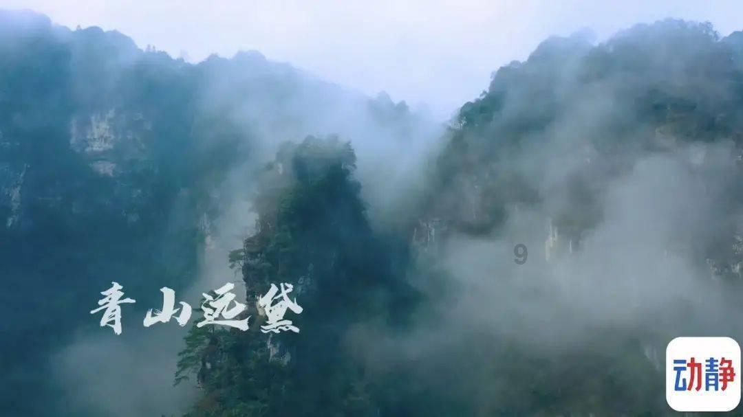 4000条鱼摆摆来了！营造中华秋沙鸭“温馨之家”