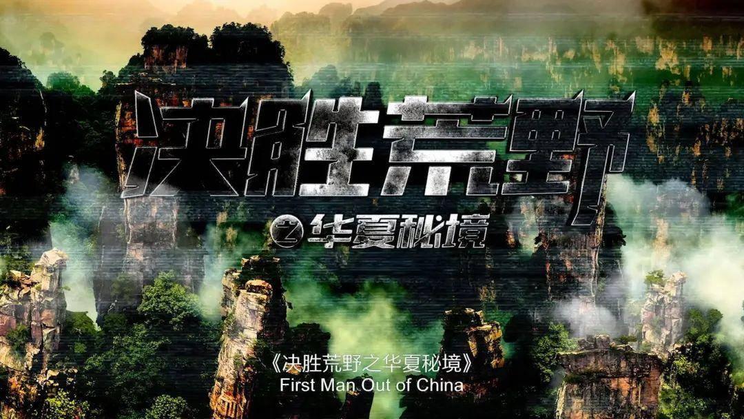 逗小猴开心系列173