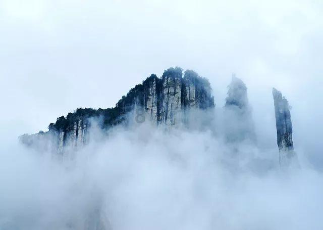 迷雾求生