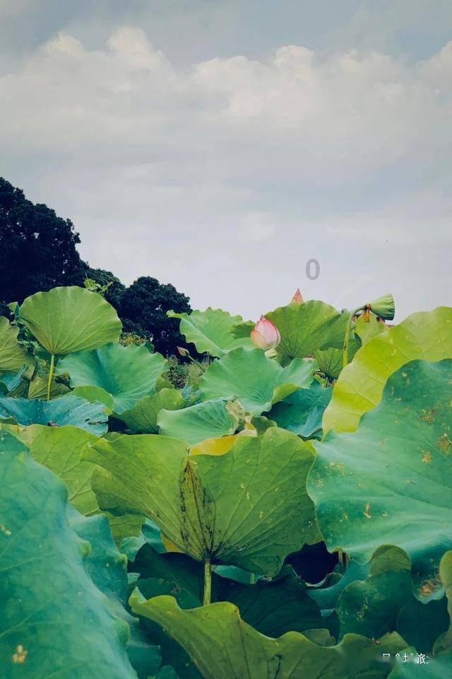 东京42