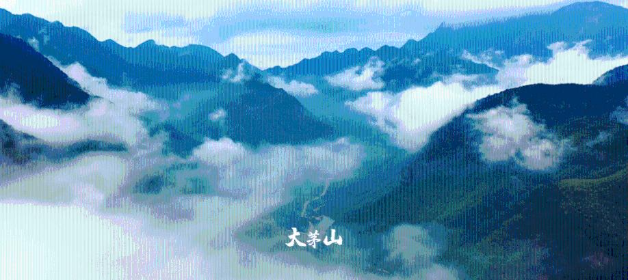 救援聪明的小女生