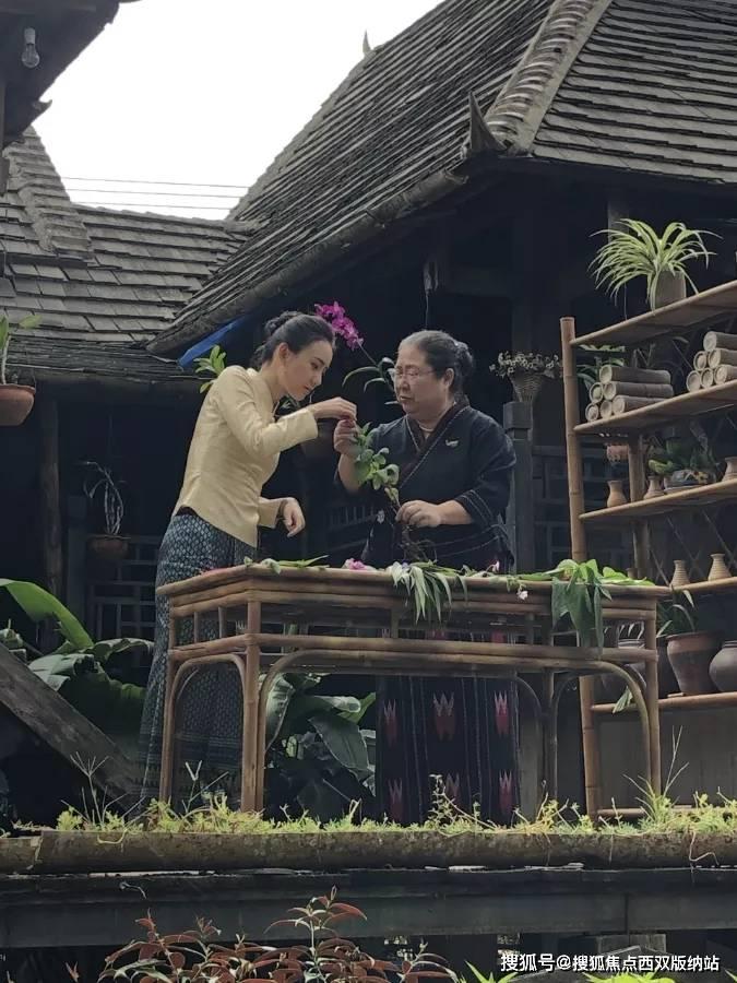 小猫钓鱼开船版最新版下载