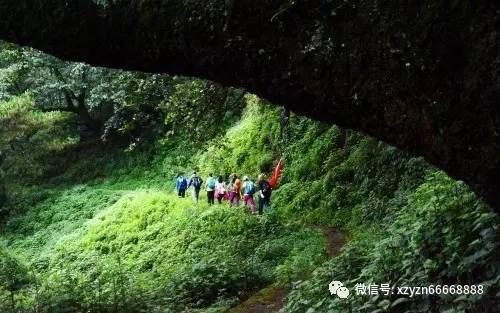 次元喵