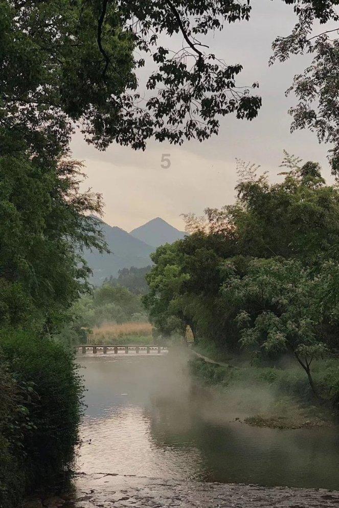 拯救昆虫群