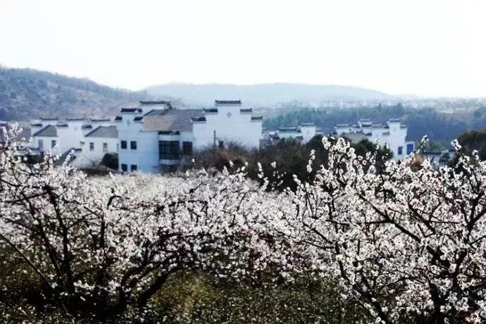 规范管理标准 南京雨花台区城管局开展冬季洗车场专项检查