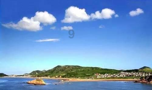 动物帮帮忙保卫家园