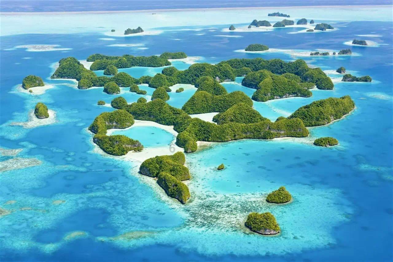 月光影视