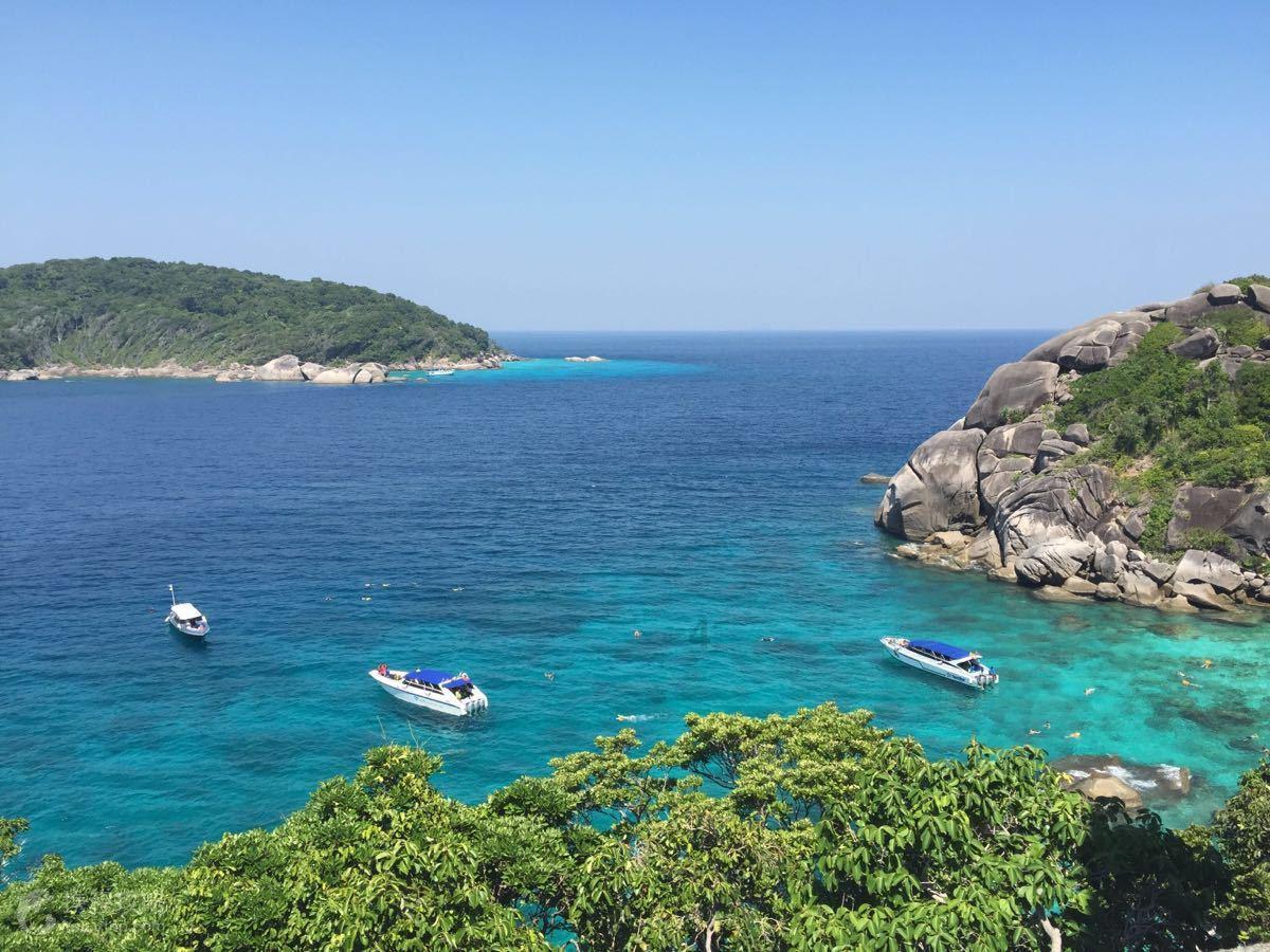 仁河口镇绘就和美乡村新画卷