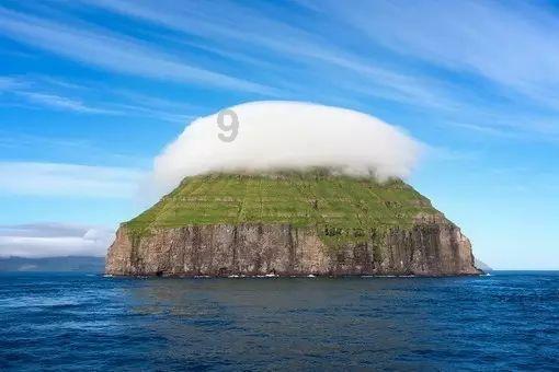 春雨直播app