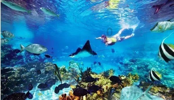 哈尔滨太平国际机场单日旅客吞吐量连创历史新高