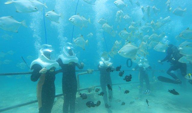 名流设计