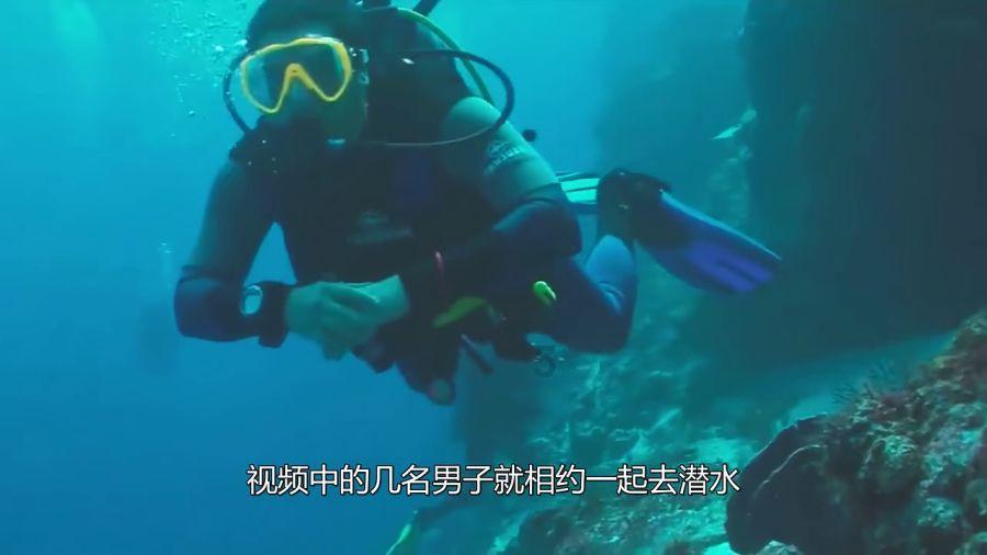 城邦争霸正式中文版