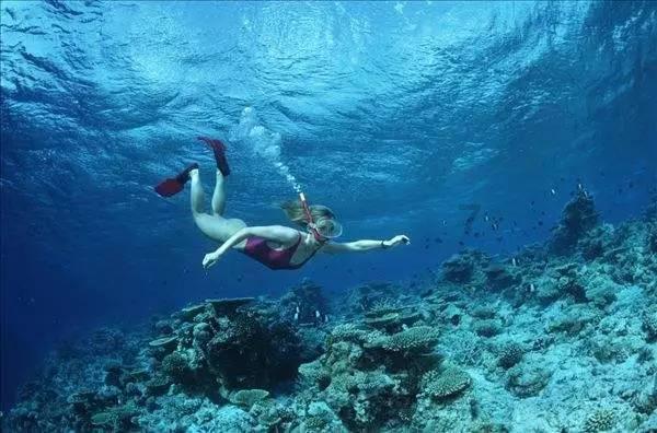 海滩度假胜地逃脱