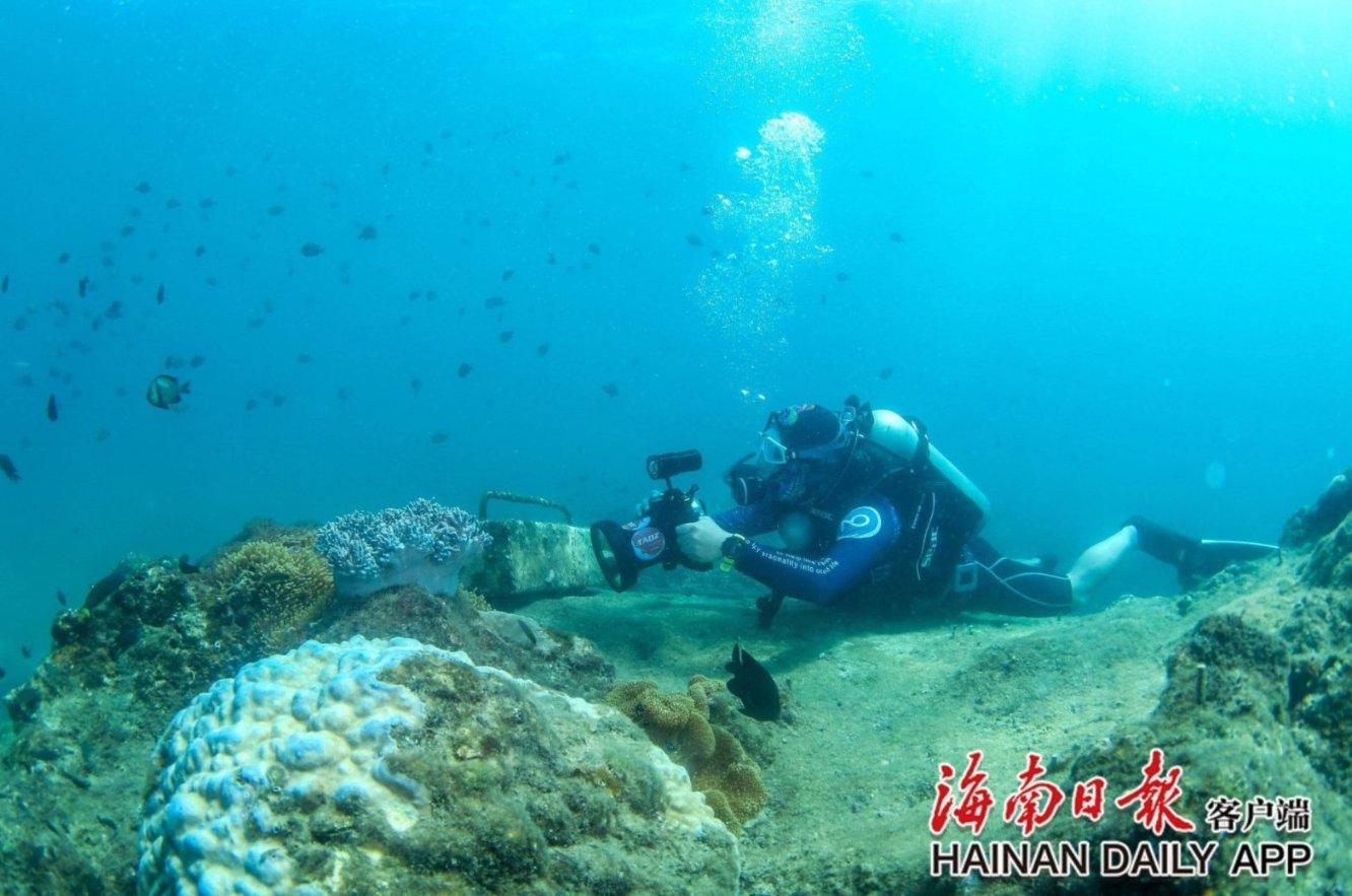 小猫钓鱼游戏龙王版有船
