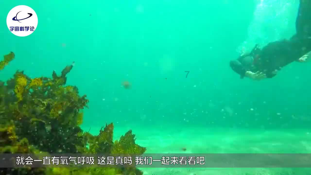 中银平稳理财计划-智荟系列241076期23日起发行