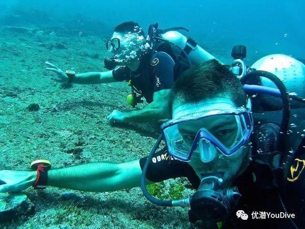 白茶喝太浓会怎么样吗？