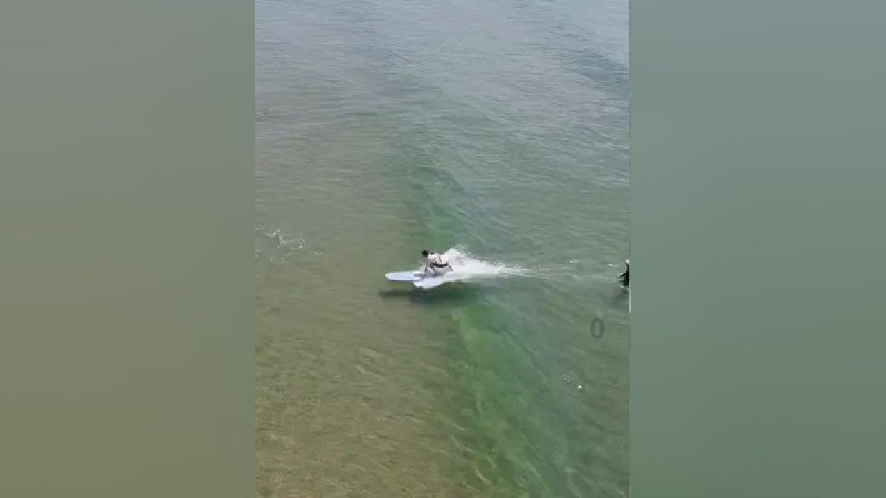 蓝狐视频