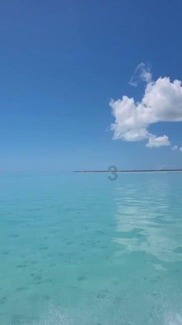 逃出白海豹洞