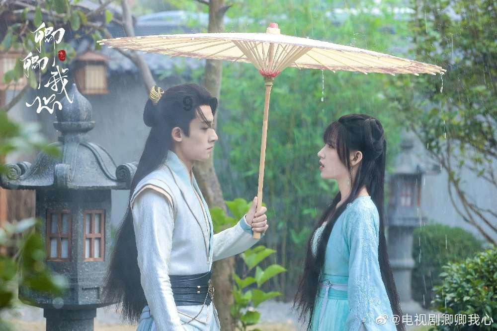 全民烧脑3去广告版