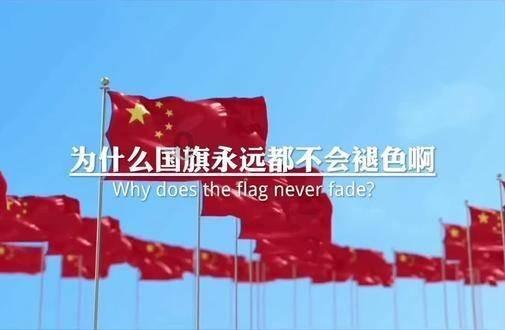 虫虫助手下载