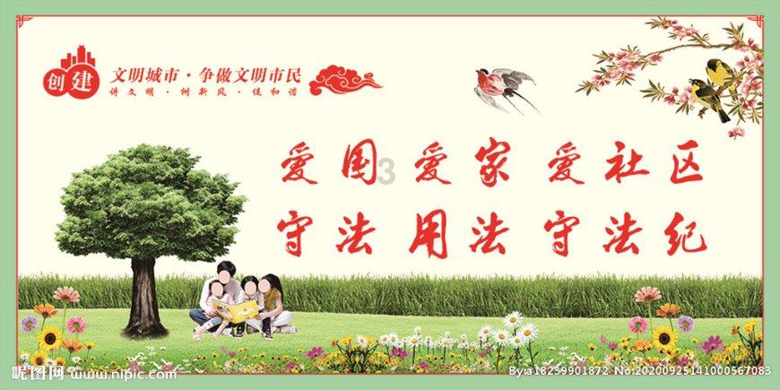 五彩鹦鹉救援