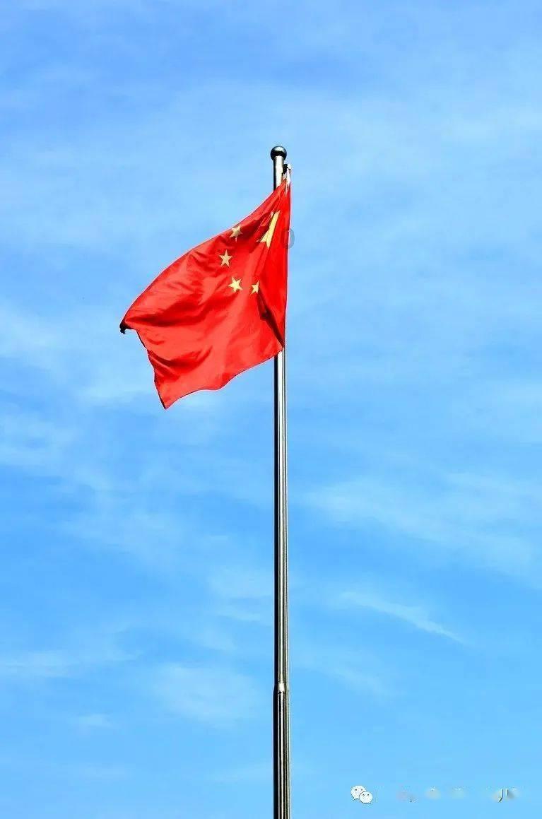 茂密丛林逃生